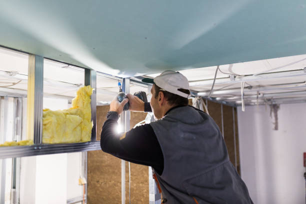 Best Blown-in Insulation in Saylorville, IA