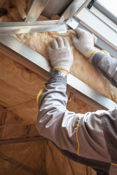 Best Fiberglass Insulation in Saylorville, IA