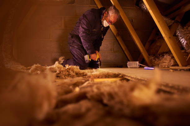 Best Eco-Friendly Insulation in Saylorville, IA